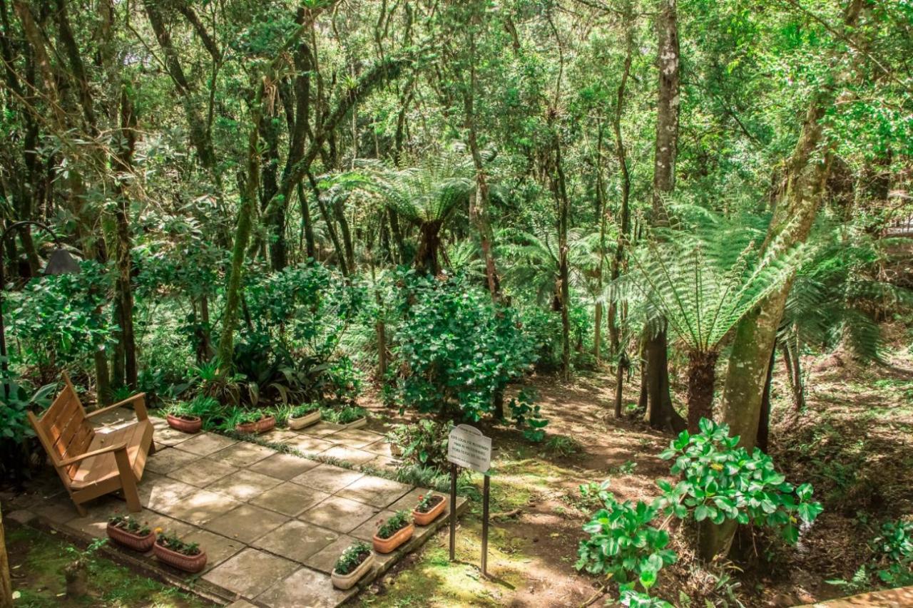 Hotel Pousada Cozumel Sierra كانيلا المظهر الخارجي الصورة